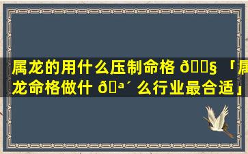 属龙的用什么压制命格 🐧 「属龙命格做什 🪴 么行业最合适」